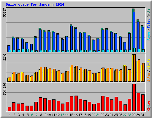 Daily usage for January 2024