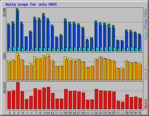Daily usage for July 2025