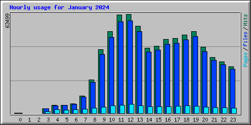 Hourly usage for January 2024