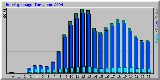 Hourly usage for June 2024