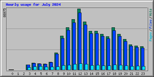 Hourly usage for July 2024