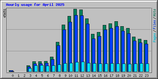 Hourly usage for April 2025