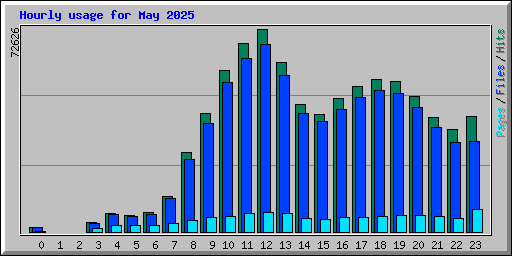 Hourly usage for May 2025