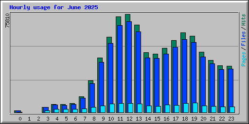 Hourly usage for June 2025