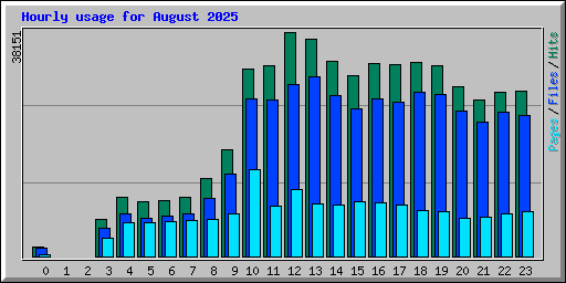 Hourly usage for August 2025