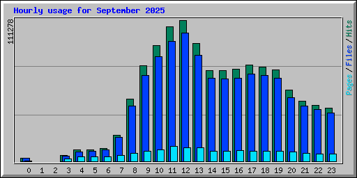 Hourly usage for September 2025