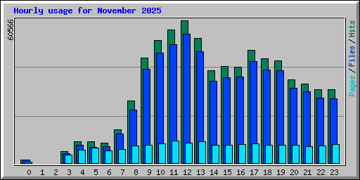 Hourly usage for November 2025