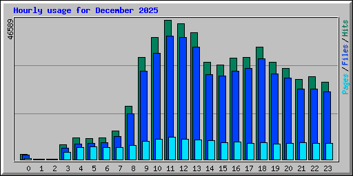Hourly usage for December 2025
