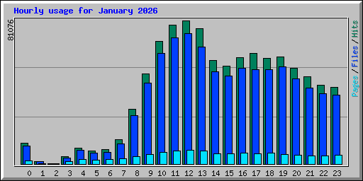 Hourly usage for January 2026